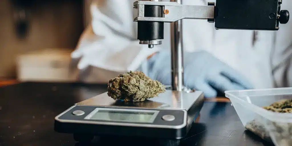 Cannabis water activity measurement using a laboratory instrument to analyze flower moisture levels.