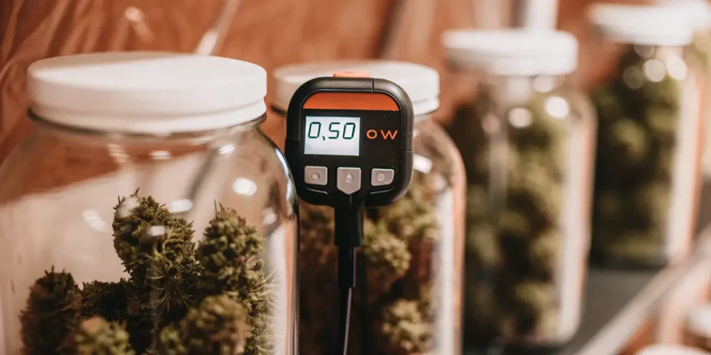 Digital water activity meter measuring moisture levels in cannabis flowers stored in glass jars.