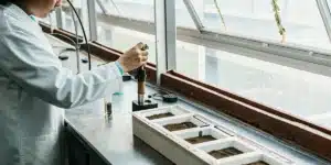 Cannabis water activity sample testing with a technician analyzing material using a laboratory probe.