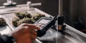 Technician using a digital water activity meter to test cured cannabis flower quality and storage readiness.