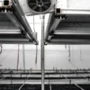 Indoor cannabis cultivation facility with environmental control systems and flowering plants under monitored conditions.