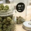 Cannabis buds stored in glass jars with temperature and humidity monitoring for optimal cannabis storage conditions.