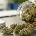 Premium cannabis buds spilling from a glass storage jar during post-curing storage and preservation.