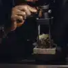 Cannabis Bud Density Testing with Laboratory Press