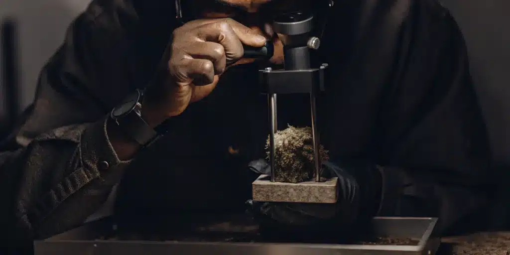 Cannabis Bud Density Testing with Laboratory Press