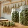 Cannabis Curing Jars in Drying Room