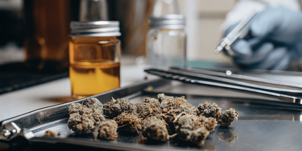 Home Cannabis Oil Extraction Process