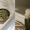 Dry cannabis shake stored in a metal tin and glass jar for preservation.
