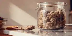 Cured Cannabis Buds Stored in a Glass Jar