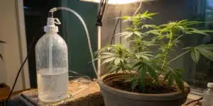 Homemade CO₂ Generator for Indoor Cannabis Grow