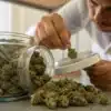 Inspecting Cannabis Buds from a Glass Storage Jar