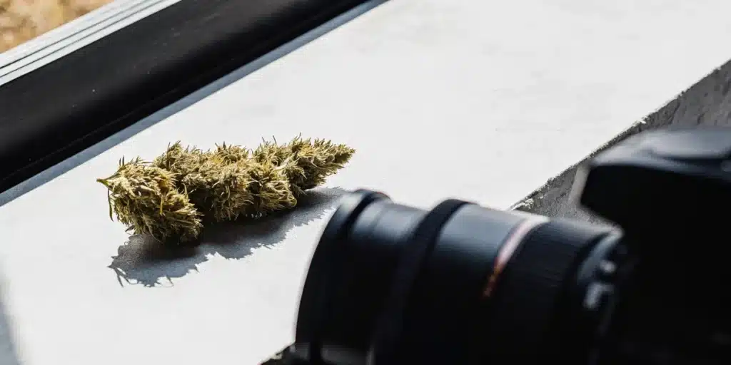 Professional camera photographing a dried cannabis flower for quality documentation and evaluation.