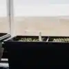 Seedling Trays for Greenhouse Germination
