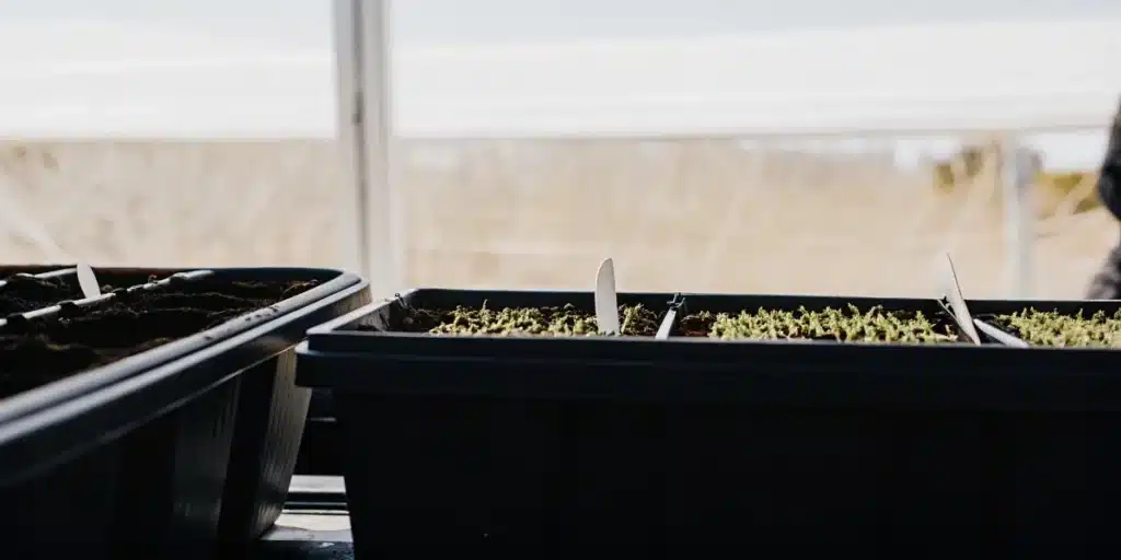 Seedling Trays for Greenhouse Germination