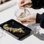 Storing Cannabis Buds in a Glass Jar