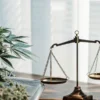 Cannabis Plant and Legal Balance Scale