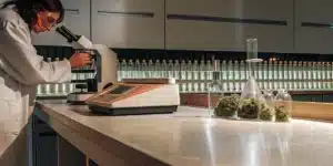 Cannabis Research Laboratory Analysis