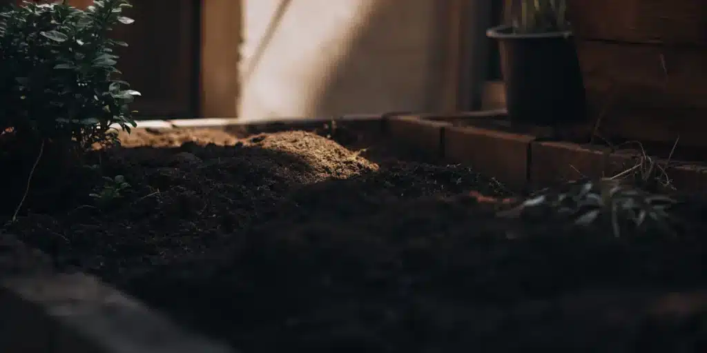 Healthy Soil for Organic Plant Growth