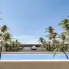 Outdoor Hydroponic Cannabis Plants