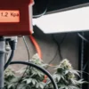 VPD Control in an Indoor Cannabis Grow