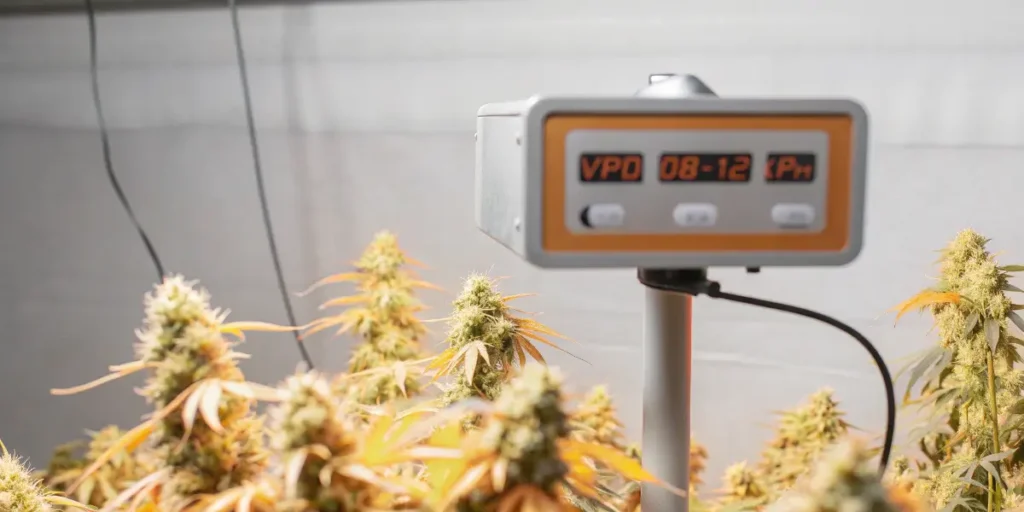 VPD Monitoring During the Cannabis Flowering Stage