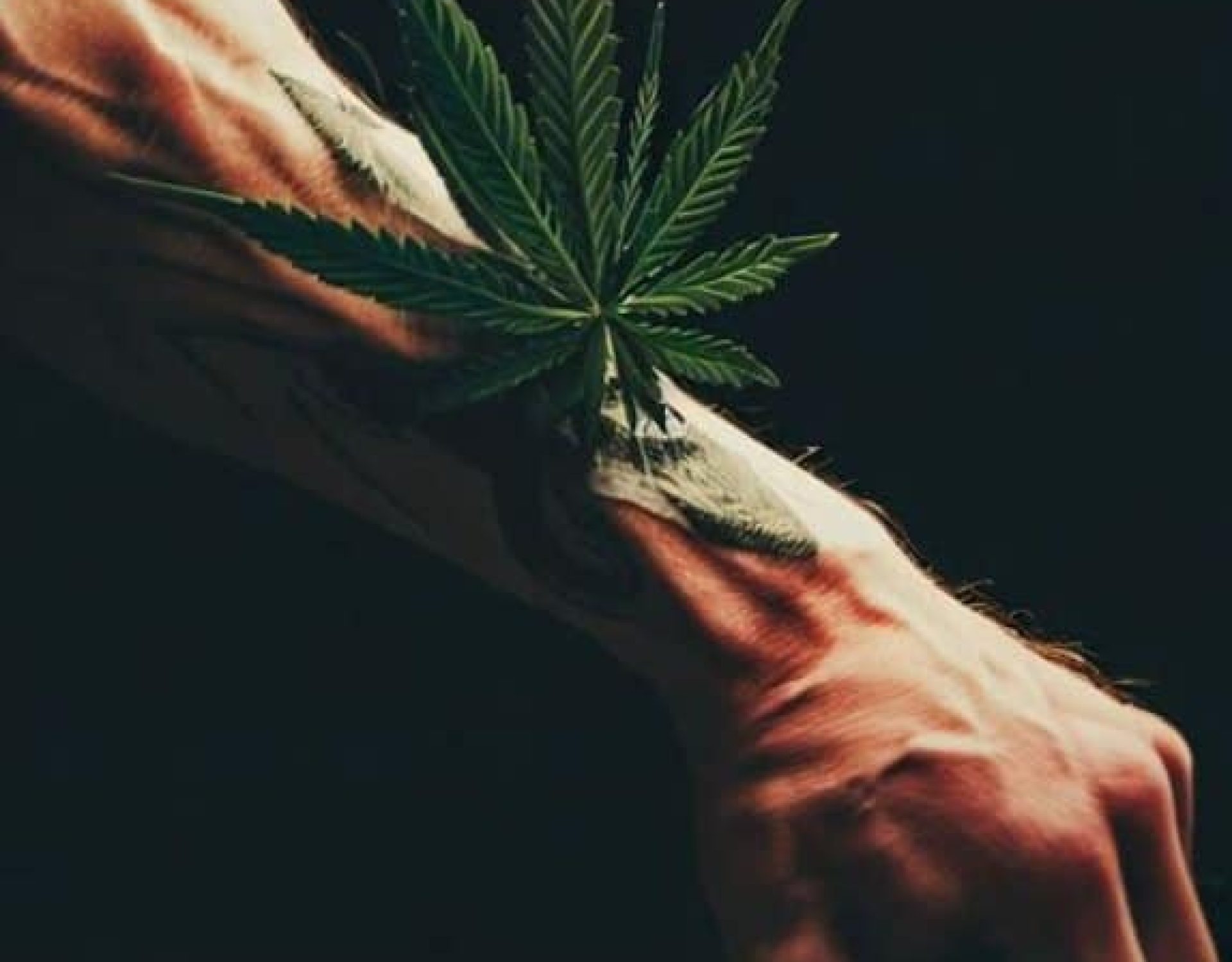 Marijuana For Muscle Spams