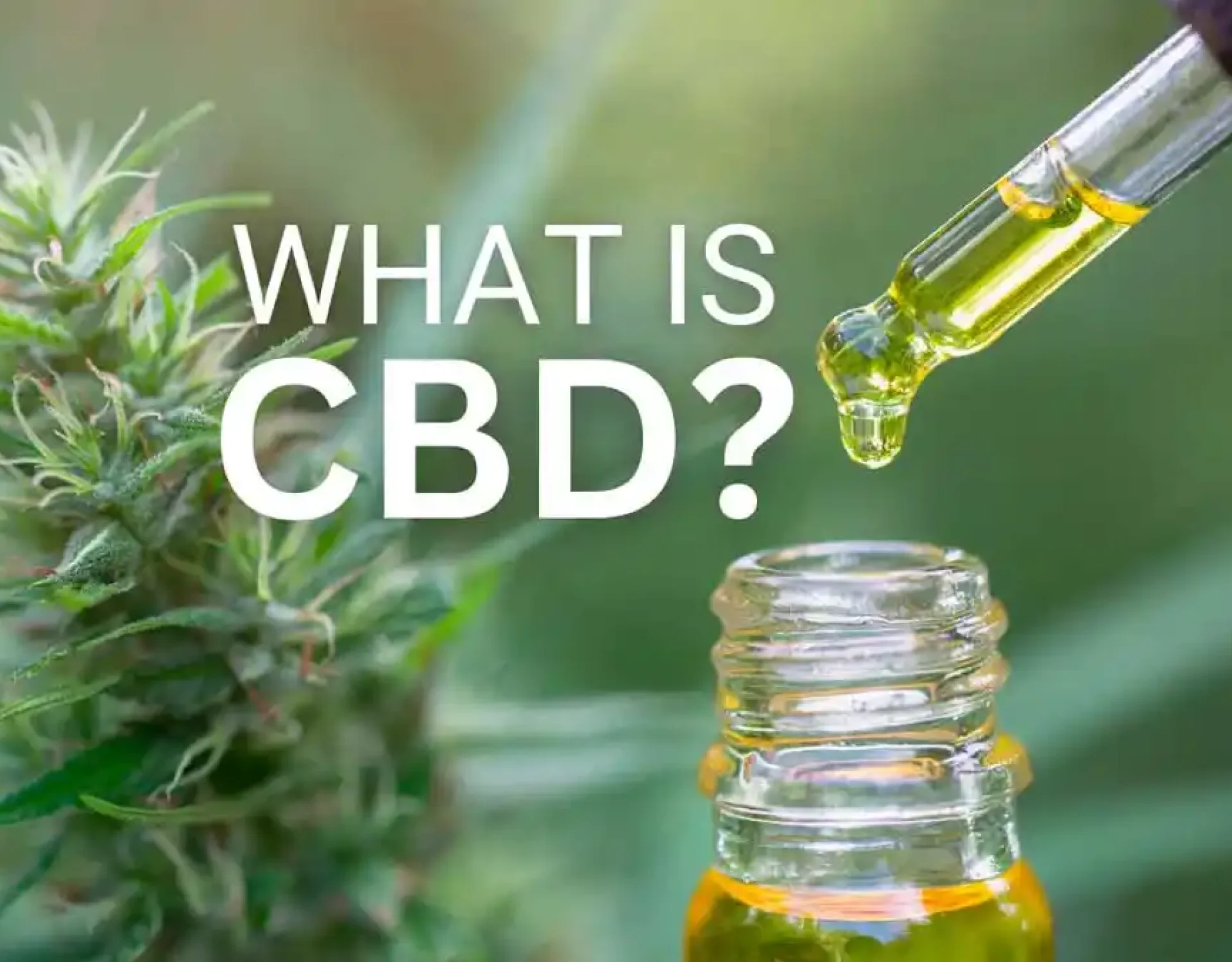 what is CBD